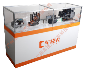 Anatomy display cabinet